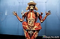 VBS_2905 - Mostra Body Worlds